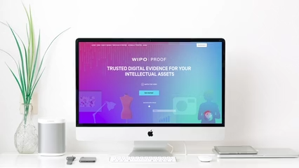 Homepage 30 Web Design & Digital Marketing – WIPO